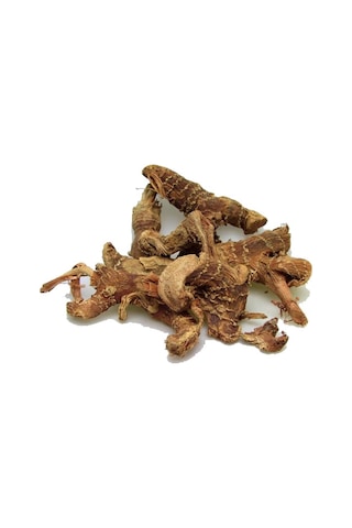 Kök Havlıcan 1 KG