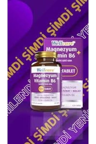 Wellcare Magnesium Vitamin B6 120 Tablet