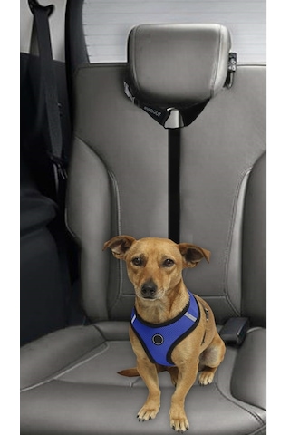 Ankaflex Kedi Köpek Araç Araba Koltuk Başlığına Takılan Oto Tasma Siyah