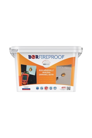 Borfıreproof Yangına Dayanıklı Boya 4 Kg Diğer