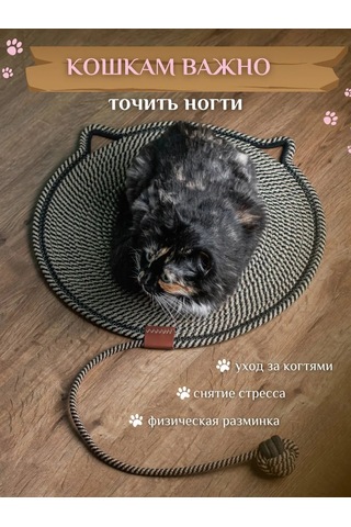 Petsecrets Tırmalama Yeri Yatak Oyuncaklı 226789416