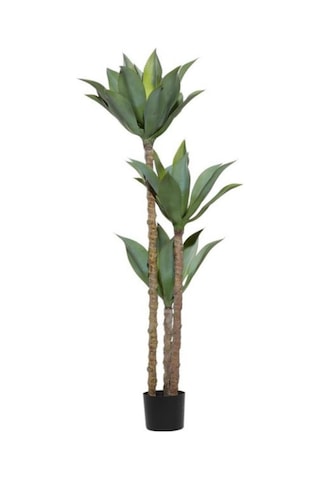 Yapay Ağaç Agave Ağacı 3Gövdeli 160 cm Premium Kalite