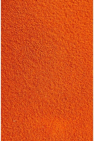Revive Kabuksuz Artemia 25 Gr