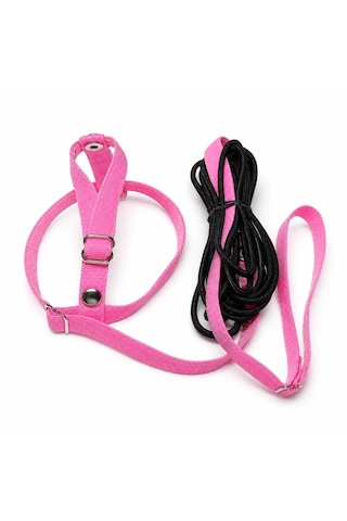 Jumbo Muhabbet Kuşu Tasması - Uçuş Takımı, Pembe