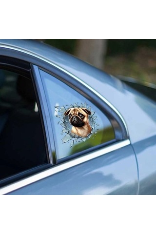 Mey Najmaddin Fulcar French Bulldog Araç Stickerı Najmaddin