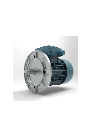 Volt 0.25 kw (1.3 HP) 1500 D/D (VSSA 71 M4B-B3) 220 230 volt Monofaze B3 - Ayaklı Standart