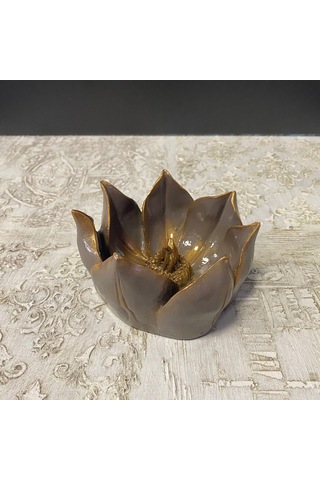 Küçük Lotus Nilüfer Çiçeği