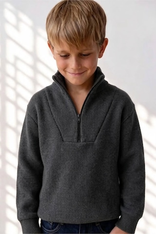 Poala Kids Selanık Yarım Fermuarlı Füme Sweat