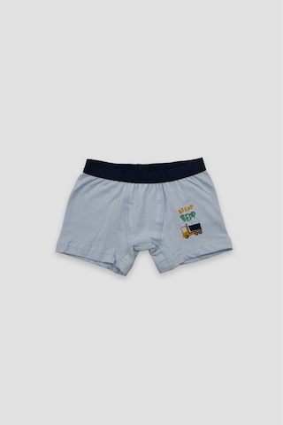 Defne Baby Erkek Çocuk Deseli Premium Pamuklu 2'li Boxer Seti Çok Renkli