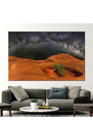 60x90cm 1 Parça Siyah Çerçeveli Kanvas Tablo