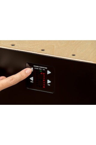 ROLAND EC-10 El Cajon