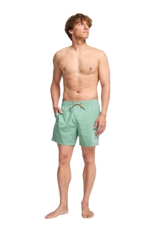Bıllabong Billabong Foundation Lb Erkek Yeşil Volley Short Ggv0