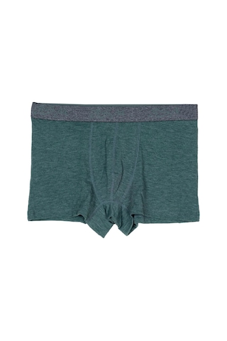 Bsm Erkek 2'li Yeşil Pamuklu Lastik Bel Strech Boxer Yeşil