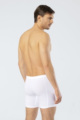 Cacharel Erkek Likralı Uzun Boxer (Bel Bantlı) (520618389)