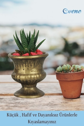 Kaktüs Saksısı Dekoratif Saksı Model 14 - Beyaz