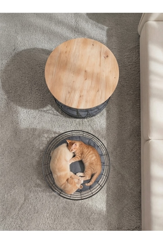 2'li Kedi Yuvalı Sepet Sehpa Metal Gövde Ahşap Tabla Minderli Orta Sehpa Çam