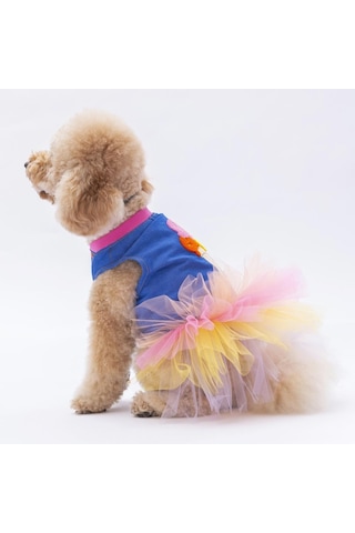 Pawstar Ice Cream Kedi Köpek Elbisesi Kedi Köpek Kıyafeti