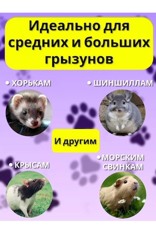 Petipet Kemirgenler Ve Sıçanlar İçin Çift Katlı Kafesli Hamak 201631197