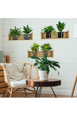 Raflı Bitki Tasarımlı Yapışkanlı Sticker 20 30 Cm 3lü Set 5060 Çok Renkli