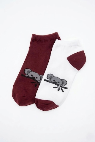 Cocole Socks Çocuk Patik Çorabı 2 Li Set Pamuklu Beyaz & Bordo Koala Desenli Çok Renkli