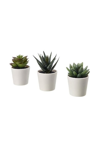 3 Adet Yapay Bitki Kaktüs Meridyendukkan 6 Cm 3lü Çiçek Yeşil Kak