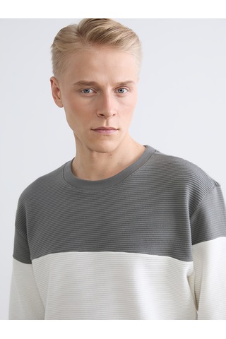 Lcw Vision Antrasit Bisiklet Yaka Renk Bloklu Erkek Sweatshirt