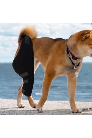 Homyl Köpek Dizlik Pet Dirsek Burkulma Koruması Için Sağ-arka