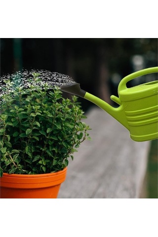 Pazly Yeşil-3l Uzun Tesisi Suntek Sulama Mekan Için Dış Ağız Gr