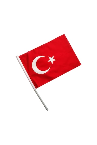 Sopalı Kumaş Türk Bayrağı 30X45Cm 100