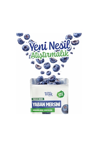 Dondurularak Kurutulmuş Yaban Mersini 18 G Freeze Dried Meyve Cipsi Çıtır Meyve Kurusu 3 Adet
