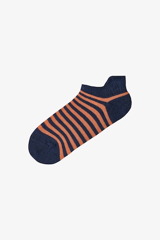 Penti Mavi Erkek Çocuk Royal Stripes 4'lü Tab Patik Çorap