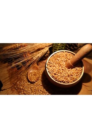 Buğday Tohumu 1 KG Buğday Çimi Tohumu Kedi Çimi