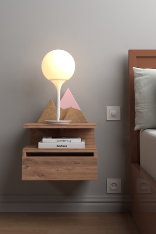 Flora Komodin Atlantik Çam