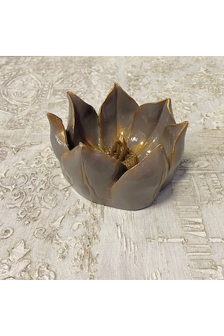 Küçük Lotus Nilüfer Çiçeği