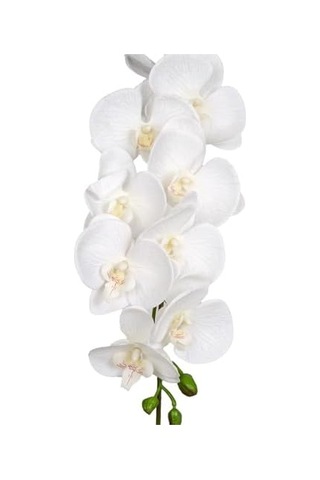 Orkide Gerçek Dokulu Beyaz 95 Cm.