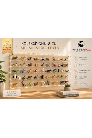 50li Kapaklı Şeffaf Lego Mini Figür Miniş Yapi Taşı Lego Bricks Blok Ölçülerine Uygun Sergileme Rafı Standı