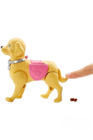 Barbie Barbıe Yürüyüş Ve Oyun Arkadaşı Köpekçik Walk Potty Pup