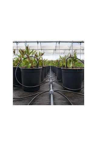 Saksı Sulama Sistemi 2 Çıkışlı Ahtapot Damlatıcı 8 L/h 10'lu Paket 20 Saksı 5 Mm Spagetti Hortumlu Sera Ve Topraksız Tarım İçin