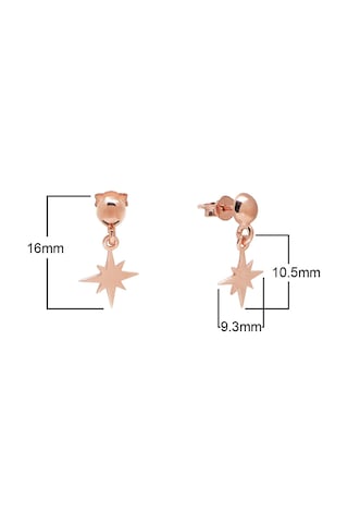 Taşsız Rose Altın Kaplama Sallantılı Kutup Yıldızı Gümüş Küpe