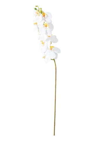 Orkide Dal Çiçek Beyaz 92 Cm Çok Renkli