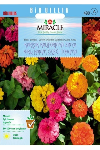 Miracle Karışık Kaliforniya Zinya Kirli Hanım Çiçeği Tohumu 50 T