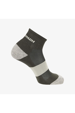 Salomon Evasıon Ankle 2-pack Renkli Çorap