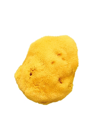 Okbaby İnce Dokulu Doğal Banyo Süngeri Büyük