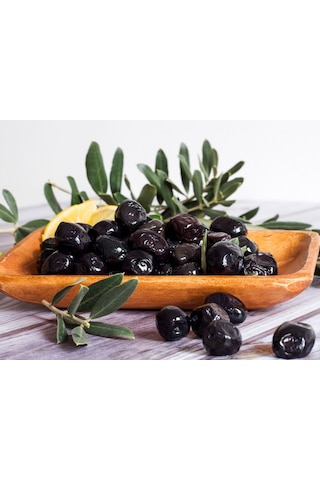 4 Yaş Gemlik Zeytin Fidanı