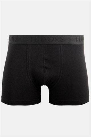 Tudors Erkek 2'li Pamuk Likralı Esnek Kumaş Boxer - 18903