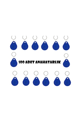 Sonex Tag Manyetik Rfid Anahtarlık - 100  Adet  Proximity Anahtarlık