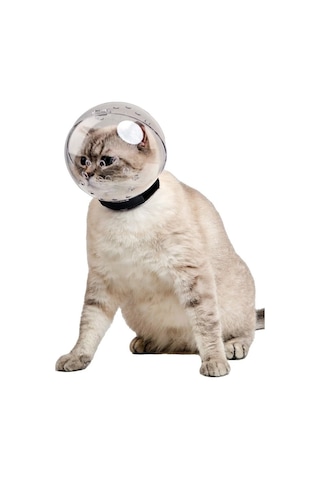 Lavimo Kedi Maskesi
