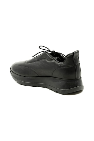 Dexter Tp22126-61 Çok Renkli