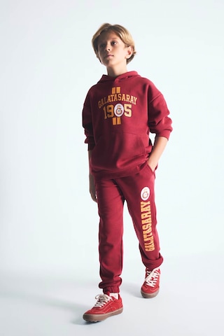 Defacto Galatasaray Baskılı Kanguru Cepli Kapüşonlu Sweatshirt Erkek Çocuk I6540a826wnrd119 Kırmızı-rd119