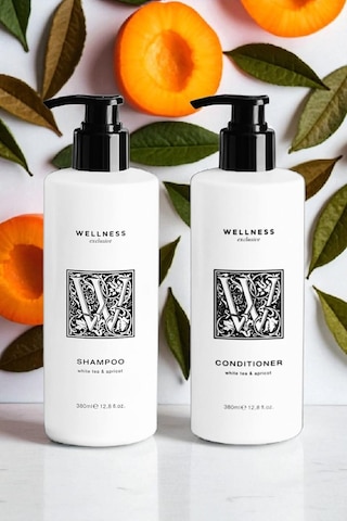 Wellness Exclusive White Tea & Apricot Shampoo 380 Ml + Conditioner 380 Ml Tüm Saçlar